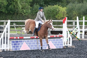 Class 6 - Fences not above 2'9